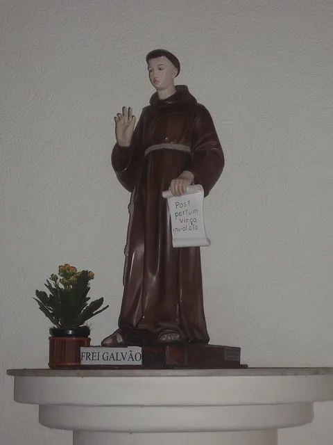 Frei Antônio Galvão, primeiro santo nascido no Brasil