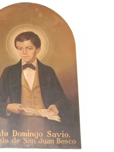 São Domingos Savio, jovem salesiano